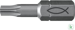 Fischer (557846) Profi-bit FPB TX15  (10 stuks)